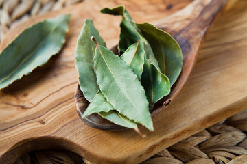 Dry Bay Leaves - aromatic Indian spices on wooden spoon, macro.