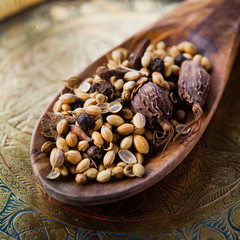 Indian Garam Masala -  whole spices, macro on wooden spoon.