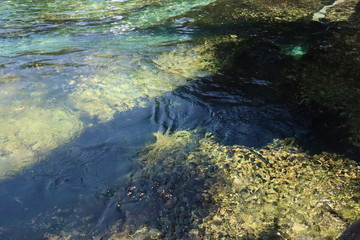 Clear Spring Water