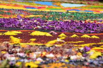 Infiorata