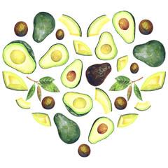 Heart with avocados and hass avocado fruits,  leaves. For logo design, card. Isolated elements on a white background. Hand painted in watercolor.