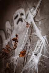 Background of decorations for Halloween celebration.
