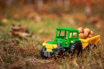 Green tractor carries nuts in the back. Toy tractor with a crop of ripe walnuts.