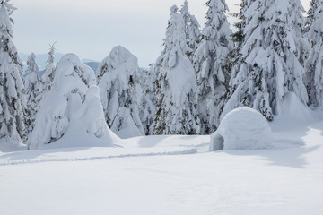 Igloo covered by snow stands on the lawn. Winter scenery in the sunny day. Snowy background.