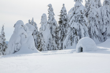 The wide trail leads to the snowy igloo. Winter mountain landscapes. Location place the Carpathian...