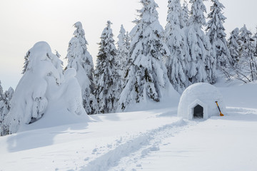 The wide trail leads to the snowy igloo. Winter mountain landscapes. Location place the Carpathian...