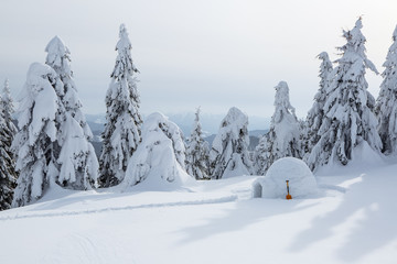 Igloo covered by snow stands on the lawn. Winter scenery in the sunny day. Snowy background.