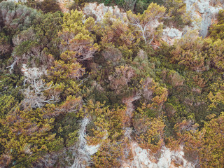 cliffs at mallorca from the top view