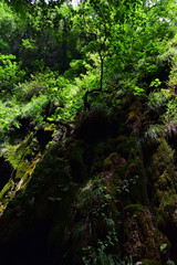 Obraz premium Valle delle Ferriere
