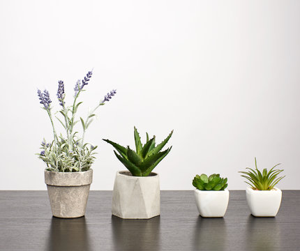 Ceramic Pots With Plants On A Black Table, White Background