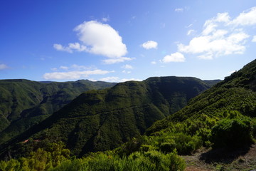 Sunshine and green at Madeiras top