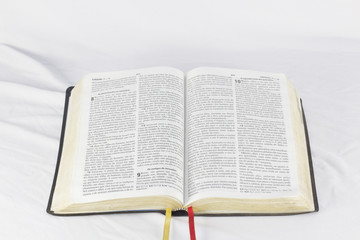 Obraz premium Bíblia Sagrada 