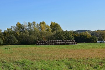 Pola,wies i las © Iwona