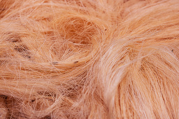 Obraz premium Rough natural raw plant fiber. Detail, closeup. Horizontal. red tone. Wallpaper and background about fabtic manufacture, eco friendly material and textile industry.