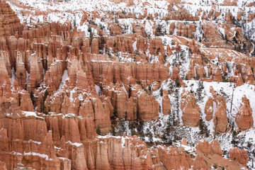 Close Up of beautiful snow covered mountains during the freezing winter period in Bryce  Canyon National Park, Utah, United States of America