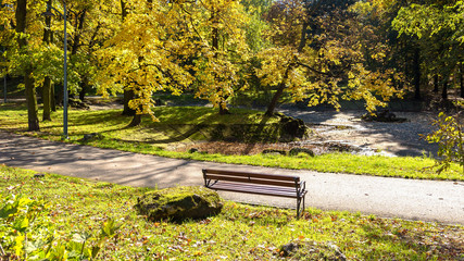 Colorful sunny autumn in a park