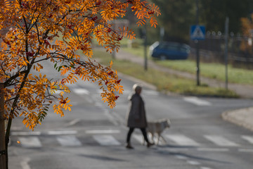 women with dog crossing the street