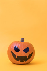 halloween pumpkin isolated on color background