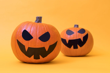 halloween pumpkin isolated on color background