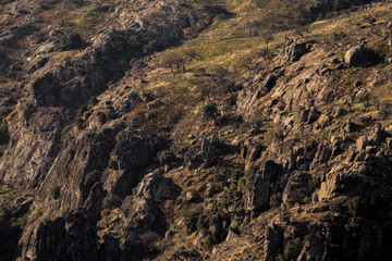 Fototapeta na wymiar Scavenger Wild Land, Miranda do Douro Mountains 