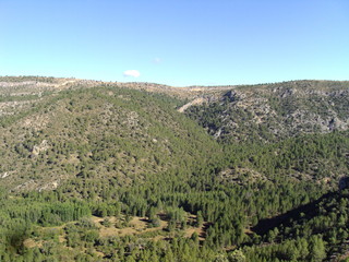 Fototapeta na wymiar Trees and mountain view Alto Tajo