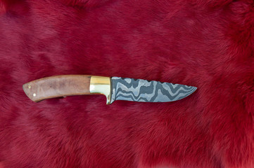 A nice damascus blade with a quilted maple handle displayed on a dyed red rabbit fur. Bokeh.
