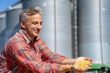 Happy Farmer Showing Freshly Harvested Corn Maize Grains Against Grain Silo