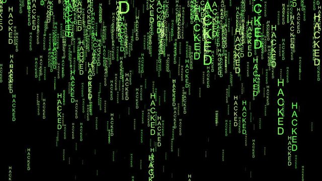 Web matrix. Web matrix