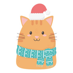 cute cat with scarf hat celebration merry christmas