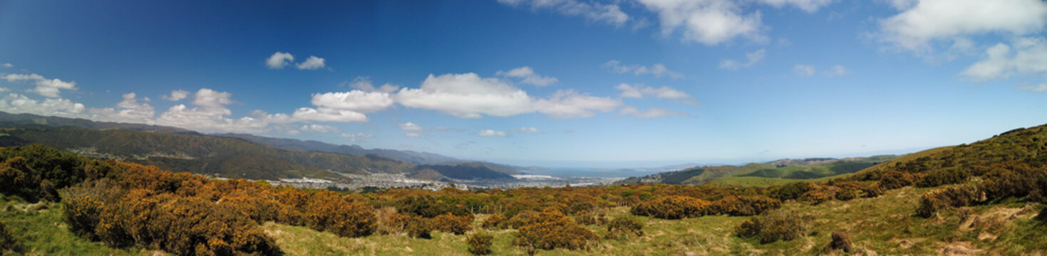 Panorama of the hills over Belmont Regional Park near Wellington, New Zealand