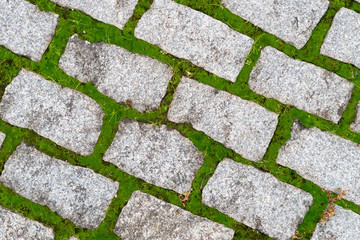 Stone gray pavers with green grass sprouted between tiles