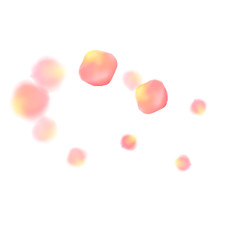 Rose gold petals flying cosmetics vector background.