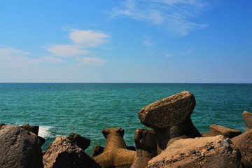 the sea seen among the tetrapodes