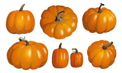 Orange pumpkin isolated on white. Realistic vector pumpkins. Set of orange pumpkins for Halloween and Thanksgiving decor.