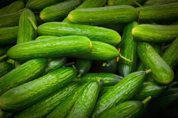 Fresh cucumbers on a supermarket counter. Food background.