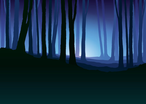 Foggy forest. Dark tree silhouette. Tree trunks in blue mist. Fog in night forest vector illustration.