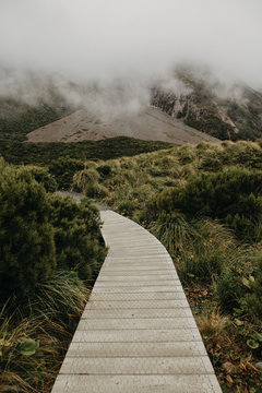 Path Of Solitude In New Zealand