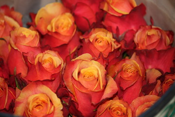 orange rose bouquet in ecuador