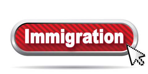 immigration icon