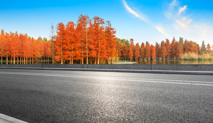 Empty asphalt road and beautiful colorful forest in autumn - Powered by Adobe