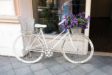 Fototapeta na wymiar the old bike is painted white and has a basket with gray flowers on it. Bicycle and petunia bushes on it as a decoration of the exterior of the cafe.