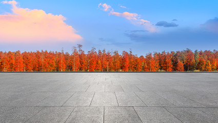 Empty square floor and beautiful colorful forest in autumn