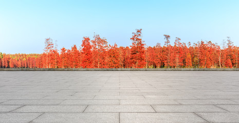 Empty square floor and beautiful colorful forest in autumn