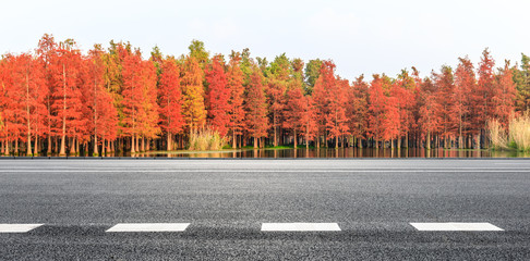 Empty asphalt road and beautiful colorful forest in autumn