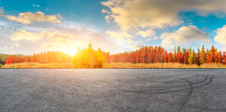 Empty race track ground and beautiful colorful forest landscape in autumn