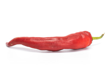 One whole fresh hot pepper isolated on white background