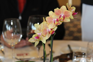 flowers from Casa Loma in Toronto Canada