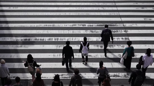 動画・横断歩道
