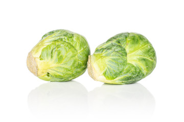 Fototapeta premium Group of two whole fresh green brussels sprout isolated on white background