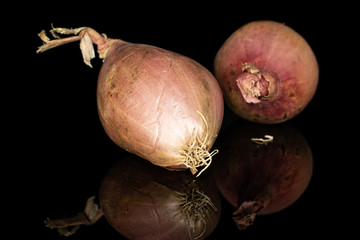 Group of two whole fresh brown shallot isolated on black glass